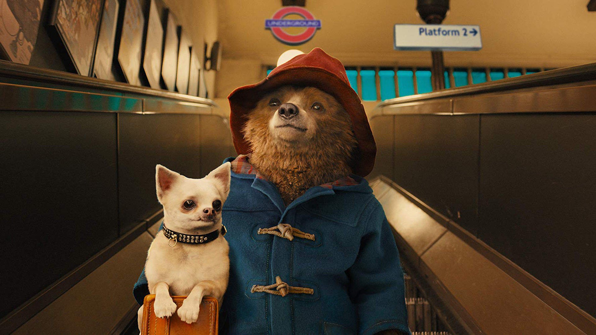 Paddington Bear's hat